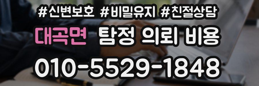 대곡면 탐정 의뢰 비용