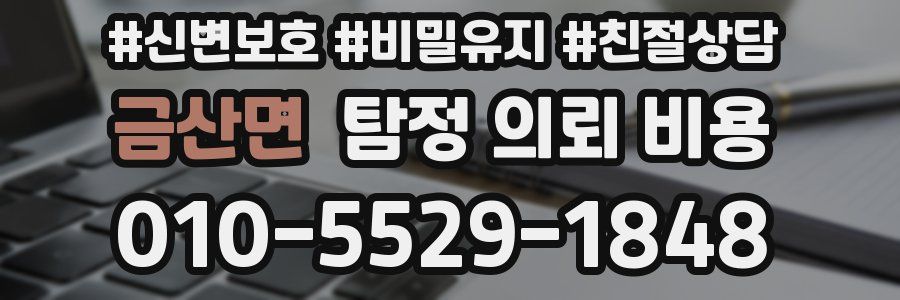 금산면 탐정 의뢰 비용