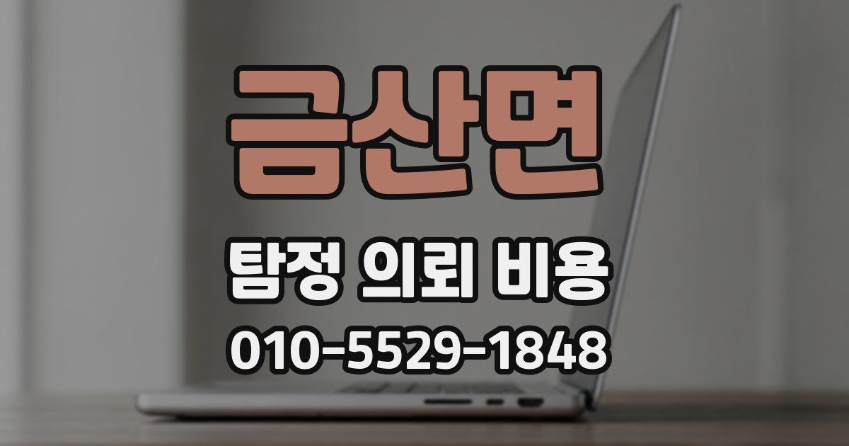 금산면 탐정 의뢰 비용