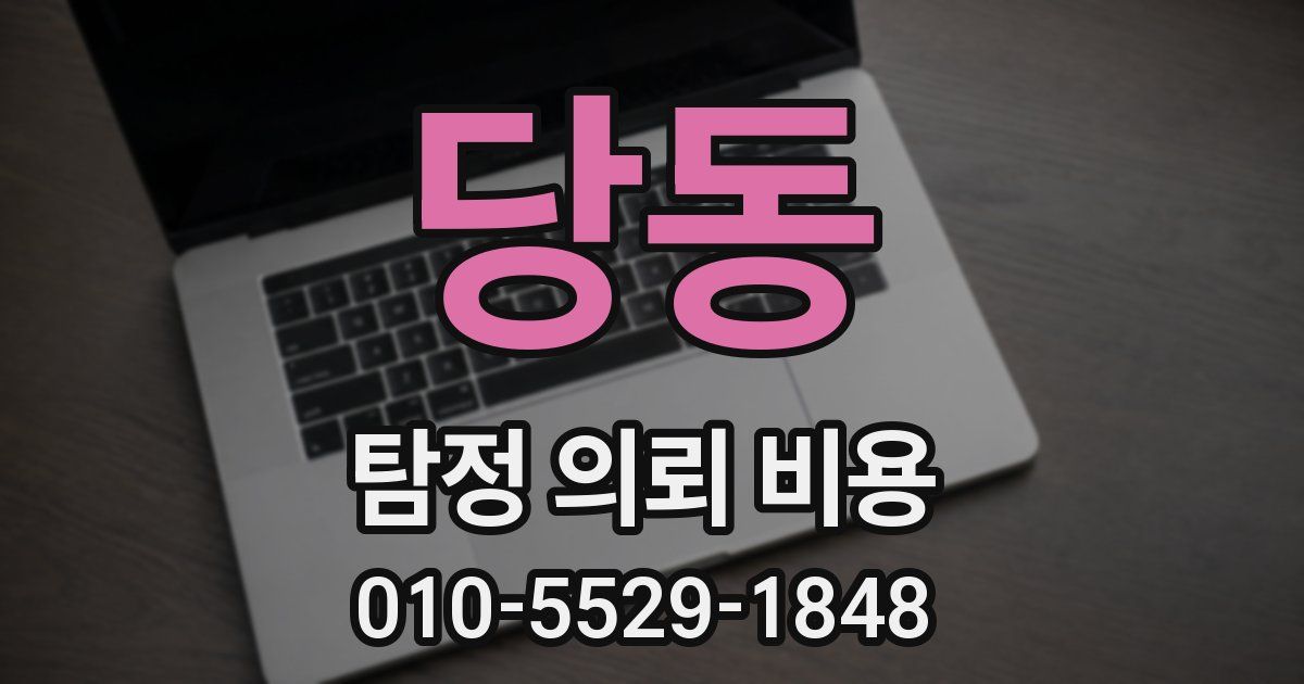 당동 탐정 의뢰 비용