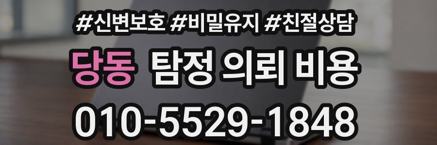 당동 탐정 의뢰 비용