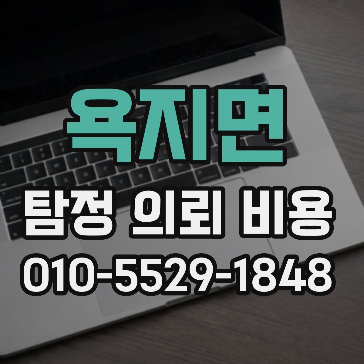 욕지면 탐정 의뢰 비용