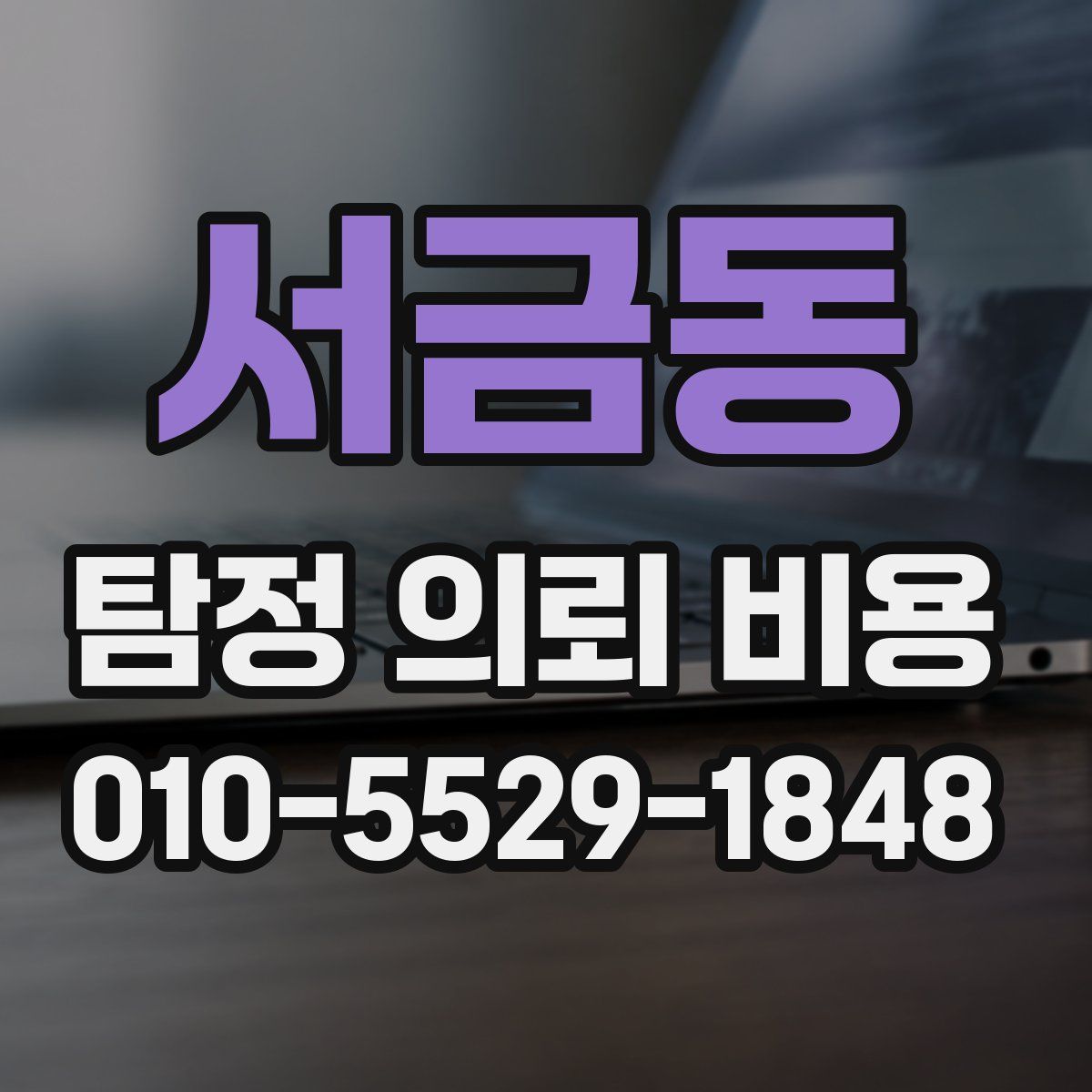 서금동 탐정 의뢰 비용