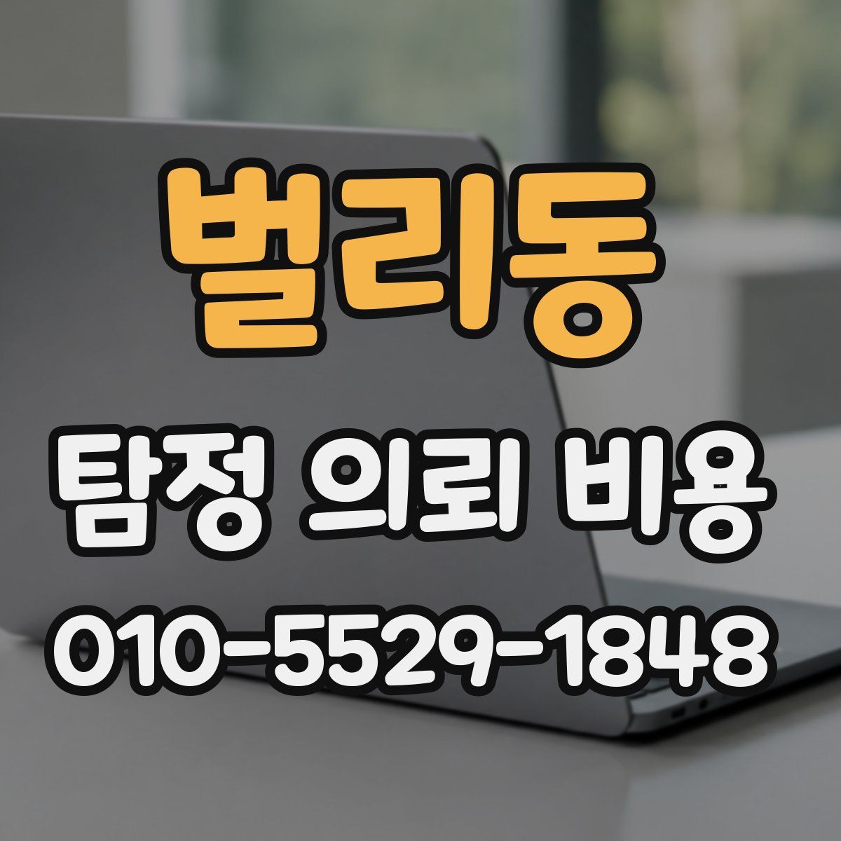 벌리동 탐정 의뢰 비용