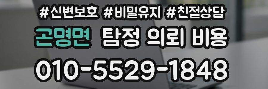 곤명면 탐정 의뢰 비용