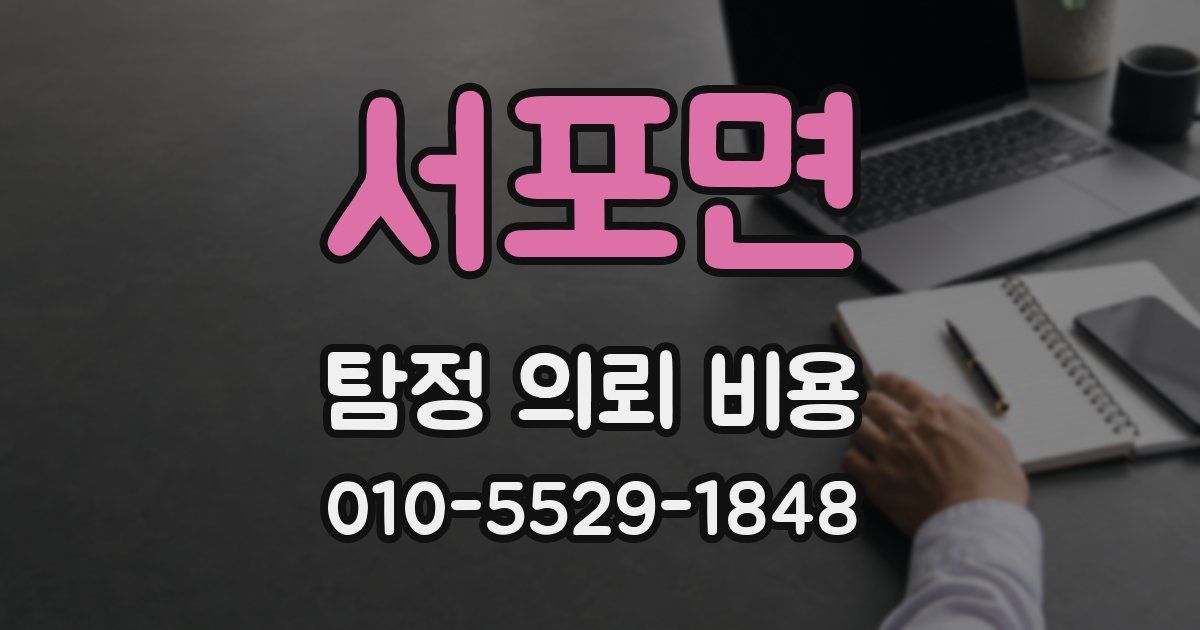 서포면 탐정 의뢰 비용