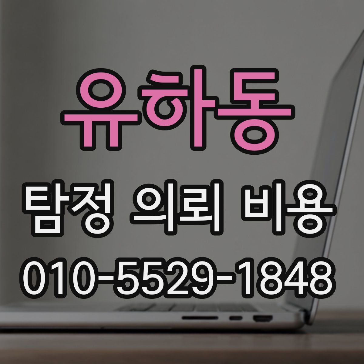 유하동 탐정 의뢰 비용