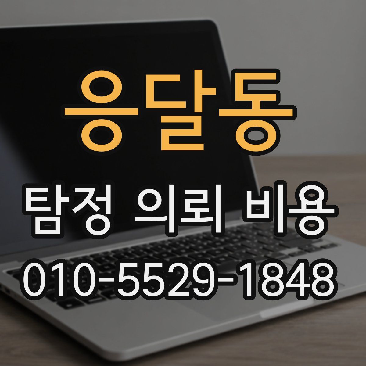 응달동 탐정 의뢰 비용