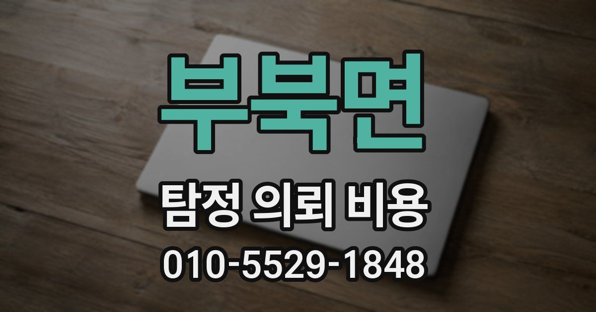 부북면 탐정 의뢰 비용