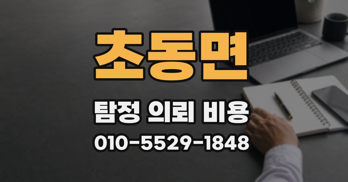 초동면 탐정 의뢰 비용
