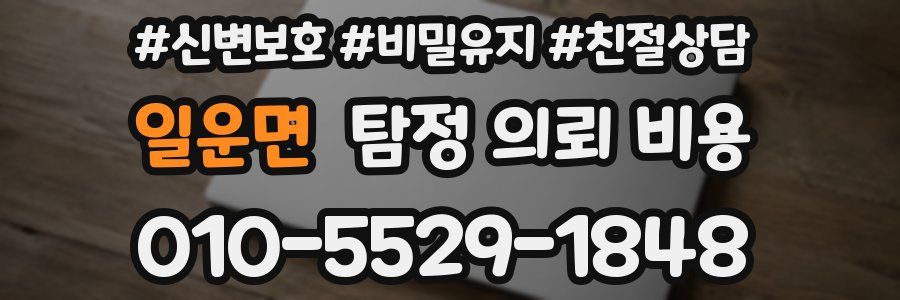 일운면 탐정 의뢰 비용