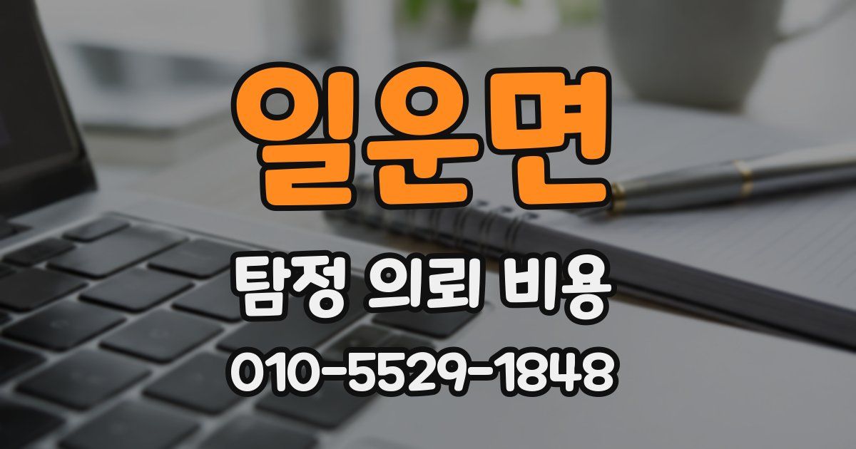 일운면 탐정 의뢰 비용