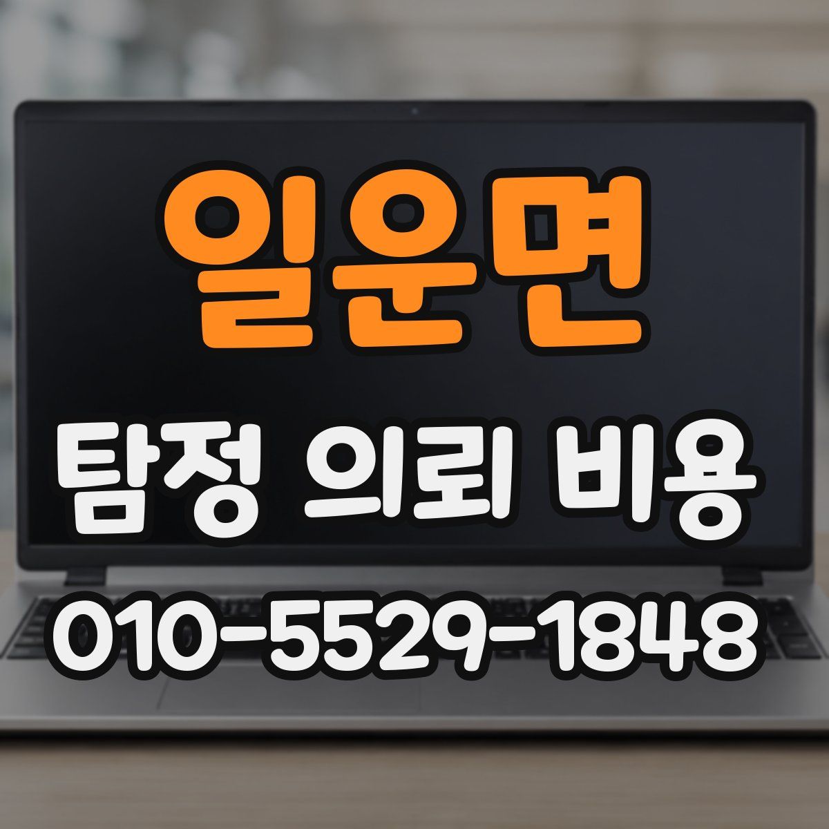 일운면 탐정 의뢰 비용