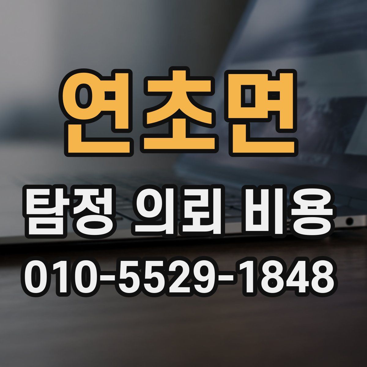 연초면 탐정 의뢰 비용