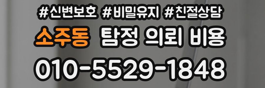 소주동 탐정 의뢰 비용