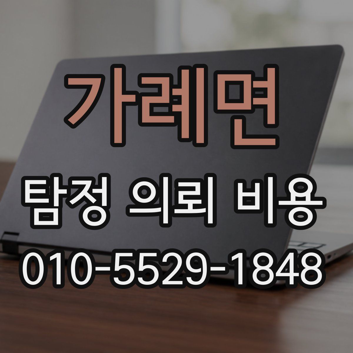 가례면 탐정 의뢰 비용