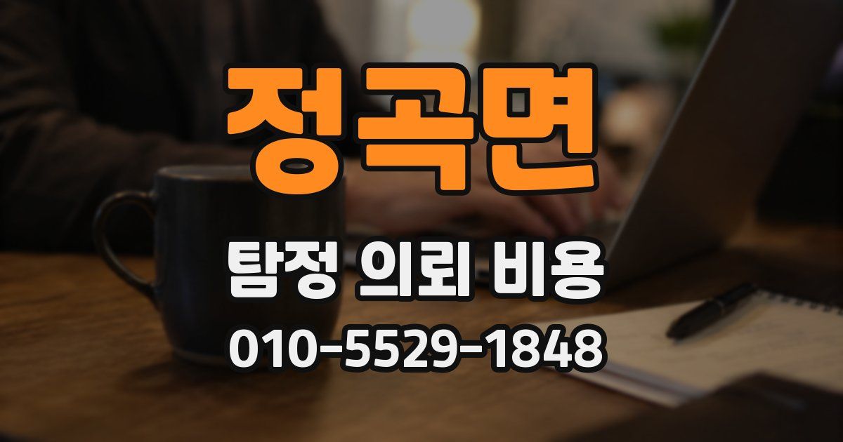 정곡면 탐정 의뢰 비용