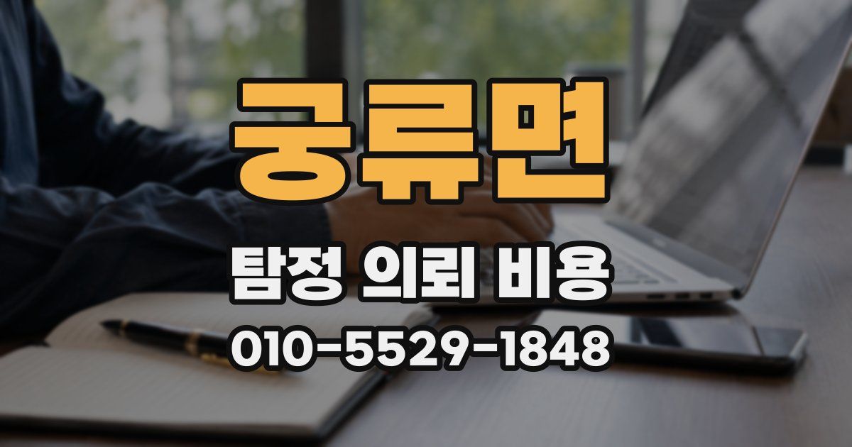 궁류면 탐정 의뢰 비용