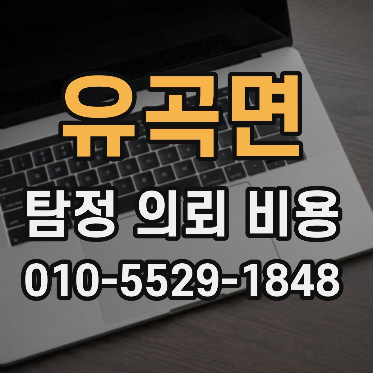 유곡면 탐정 의뢰 비용