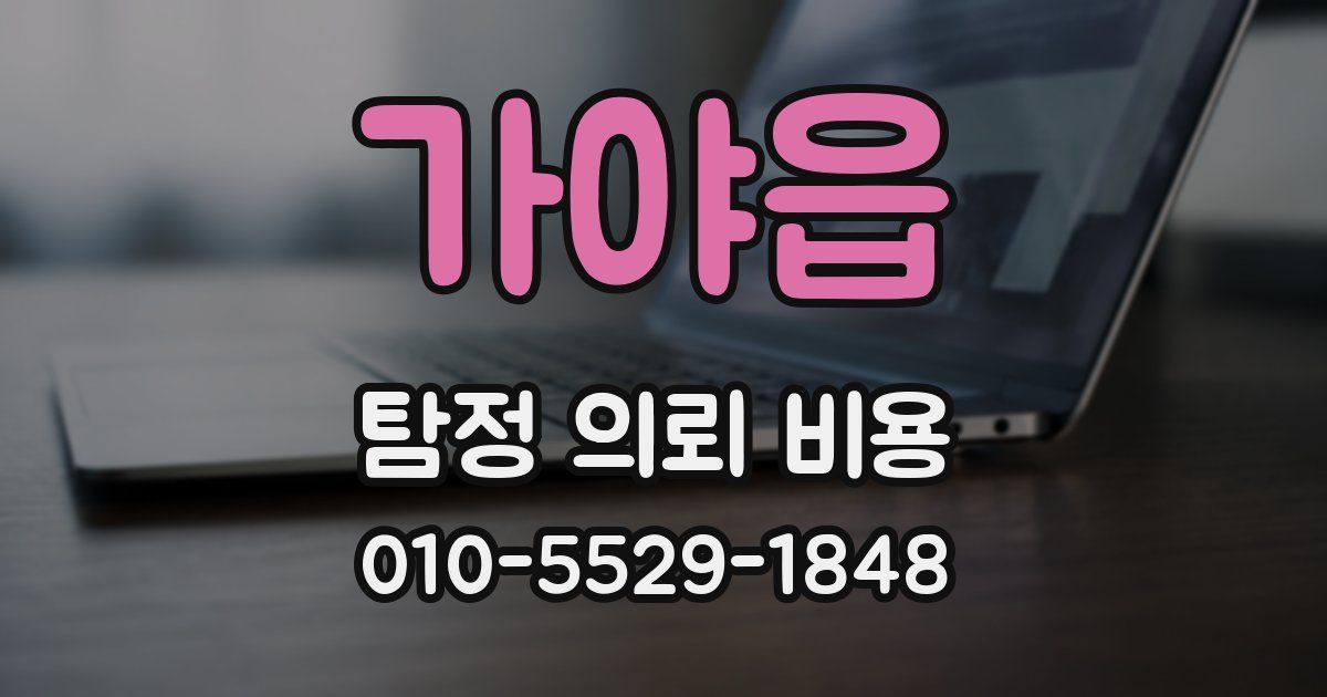 가야읍 탐정 의뢰 비용