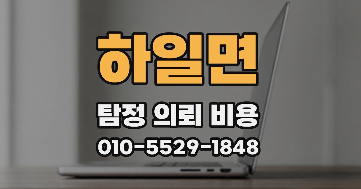 하일면 탐정 의뢰 비용