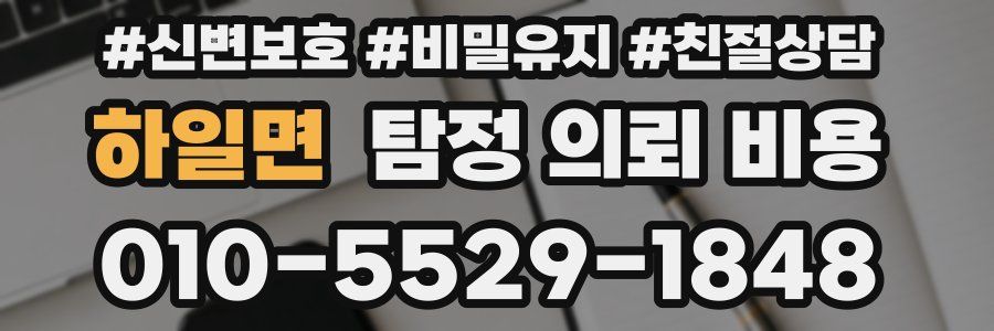 하일면 탐정 의뢰 비용