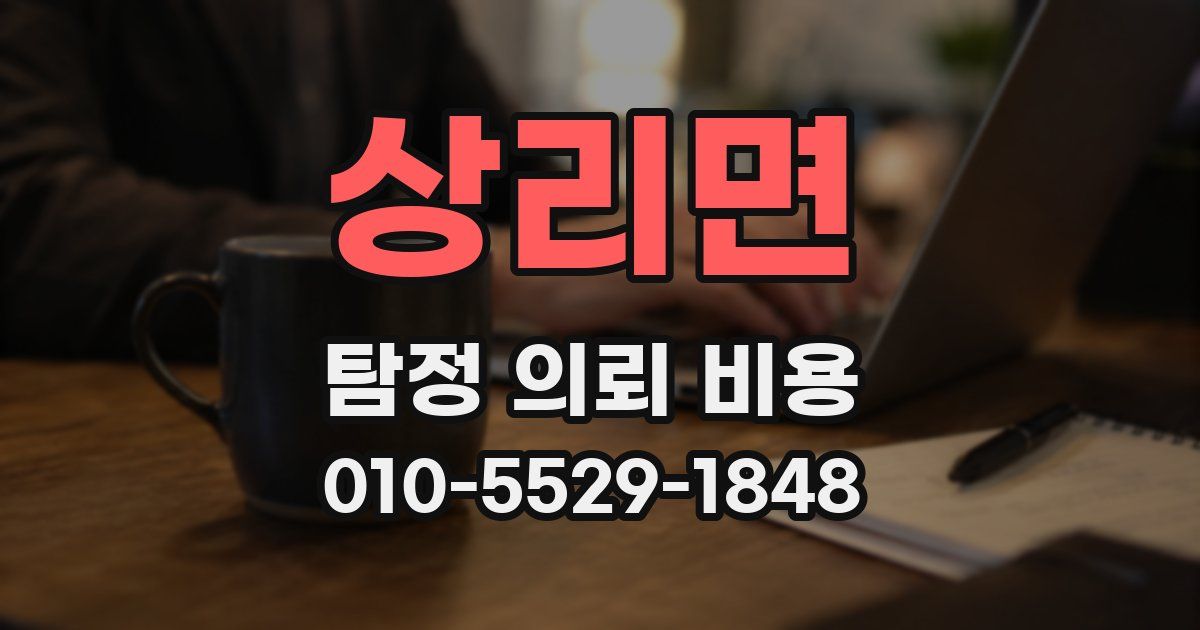 상리면 탐정 의뢰 비용
