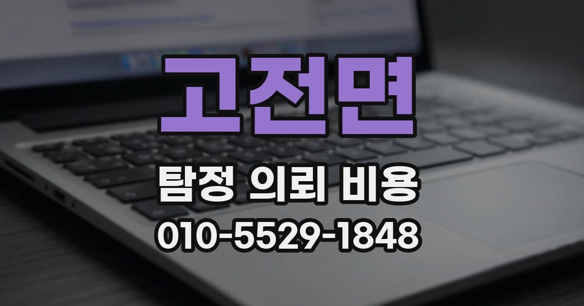 고전면 탐정 의뢰 비용