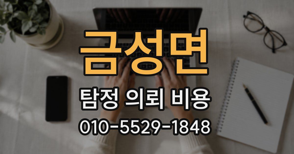 금성면 탐정 의뢰 비용