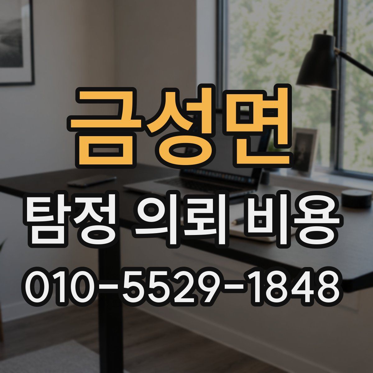 금성면 탐정 의뢰 비용