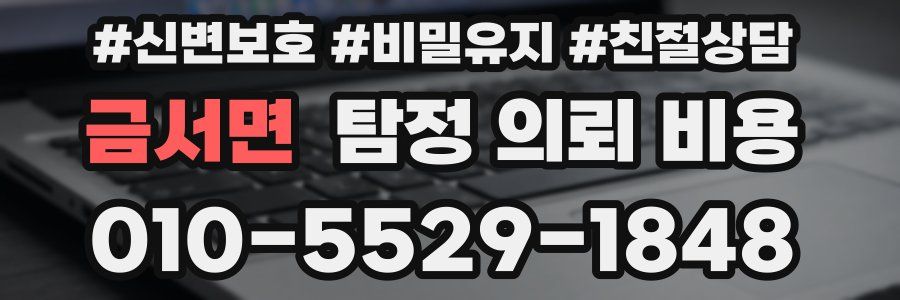 금서면 탐정 의뢰 비용