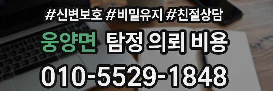 웅양면 탐정 의뢰 비용