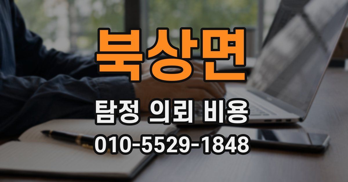 북상면 탐정 의뢰 비용