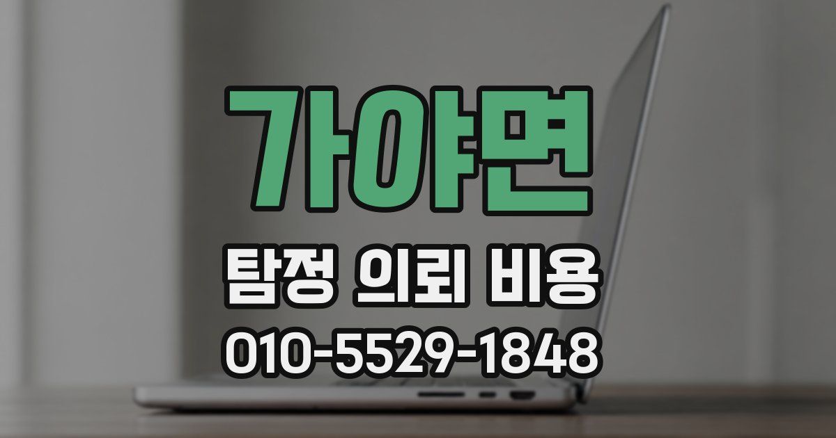 가야면 탐정 의뢰 비용