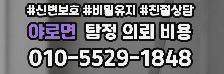 야로면 탐정 의뢰 비용