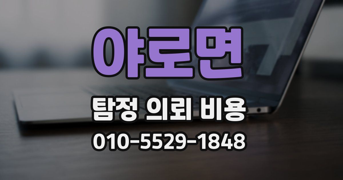 야로면 탐정 의뢰 비용