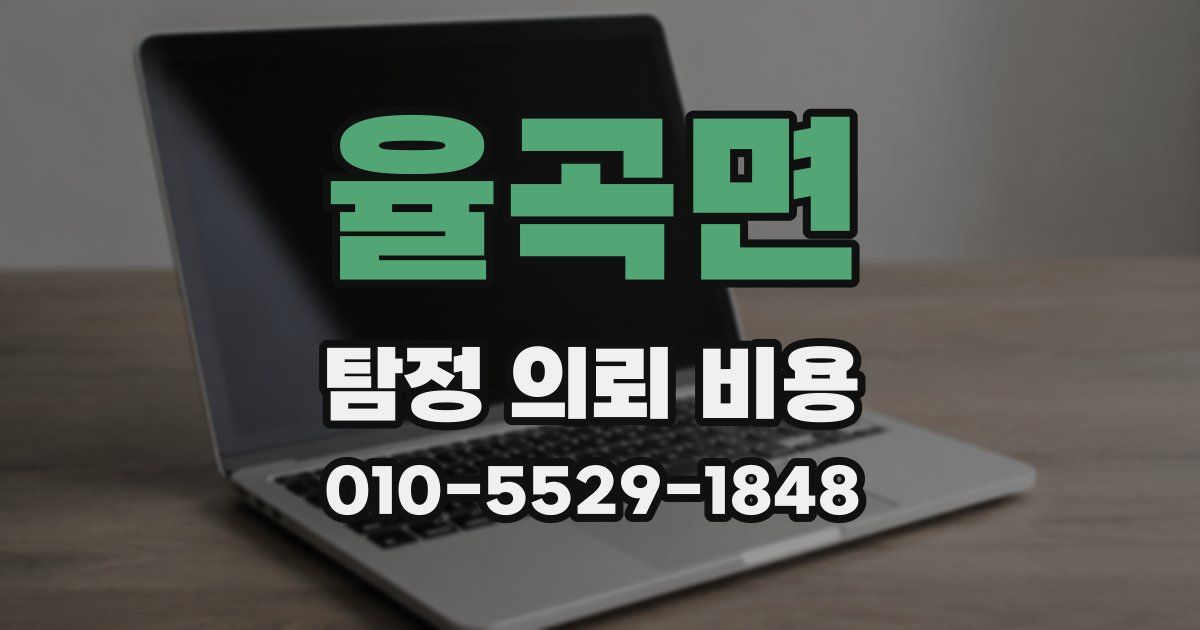 율곡면 탐정 의뢰 비용