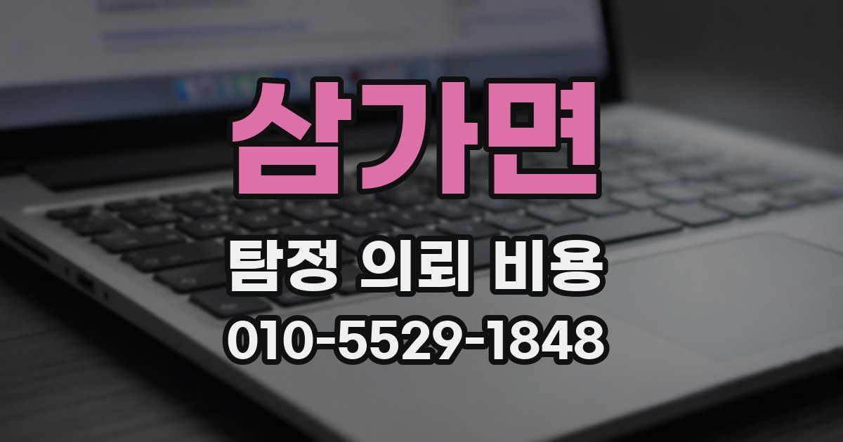 삼가면 탐정 의뢰 비용