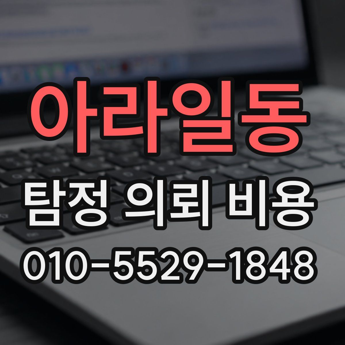 아라일동 탐정 의뢰 비용