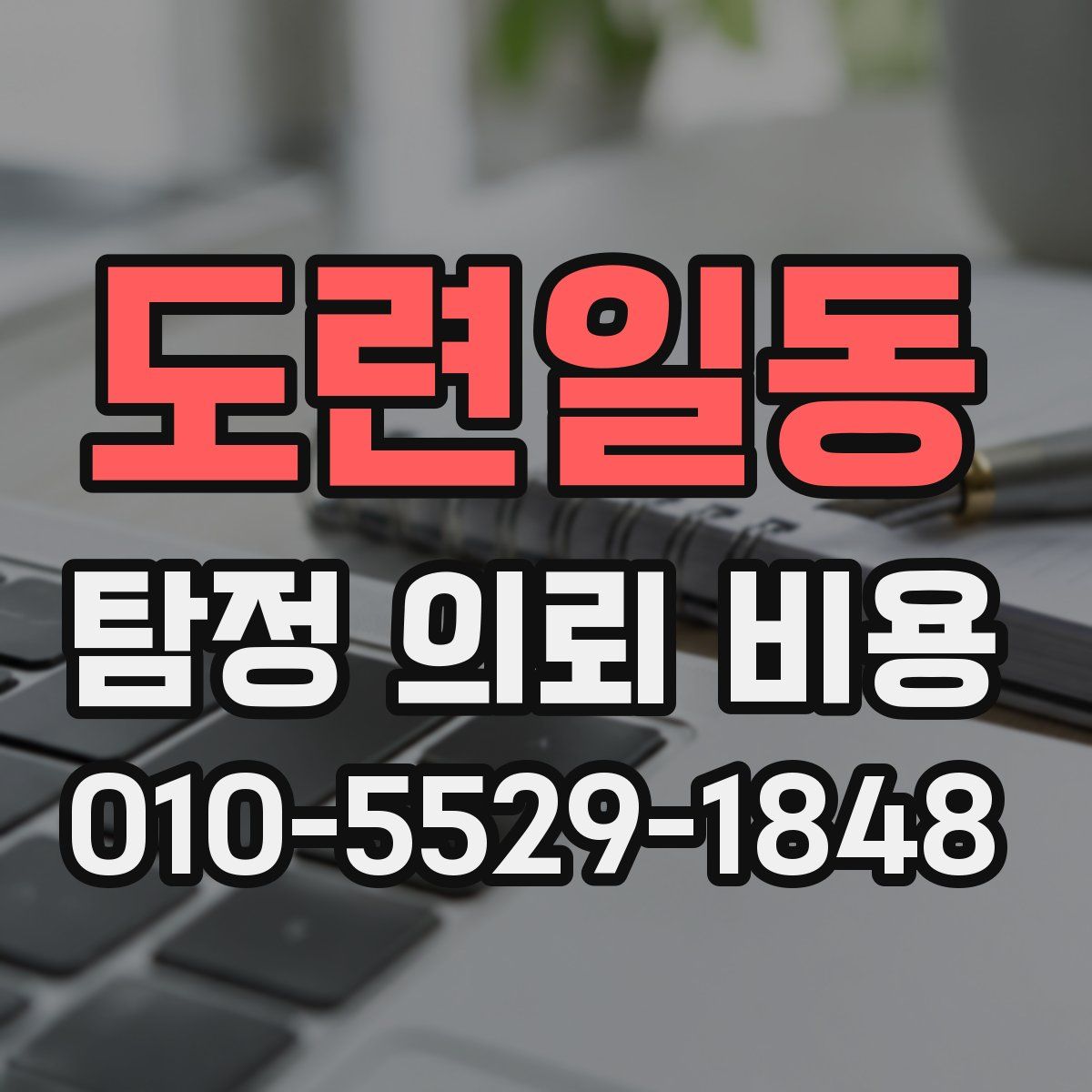도련일동 탐정 의뢰 비용