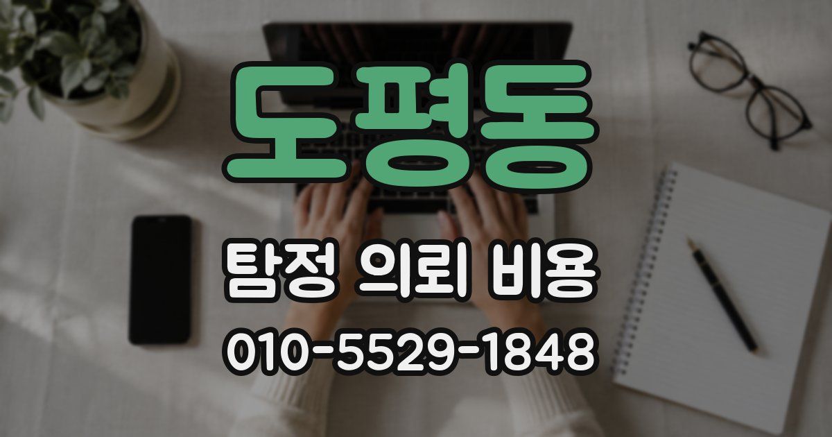 도평동 탐정 의뢰 비용