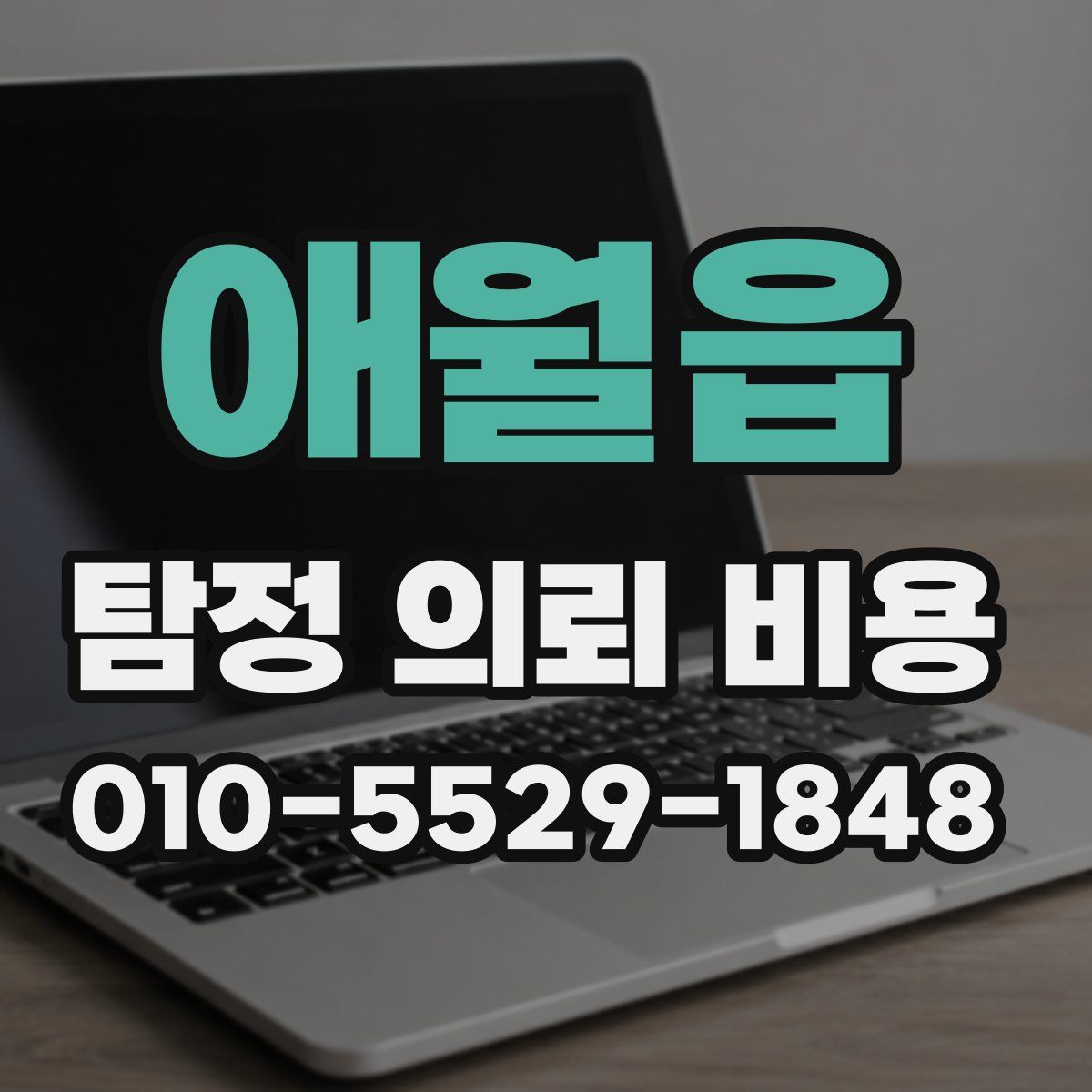 애월읍 탐정 의뢰 비용