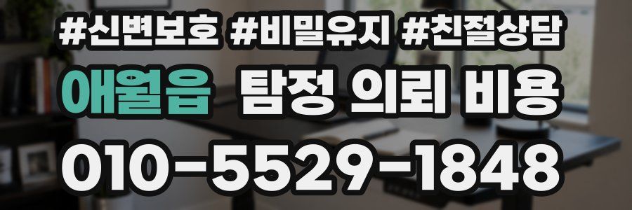 애월읍 탐정 의뢰 비용