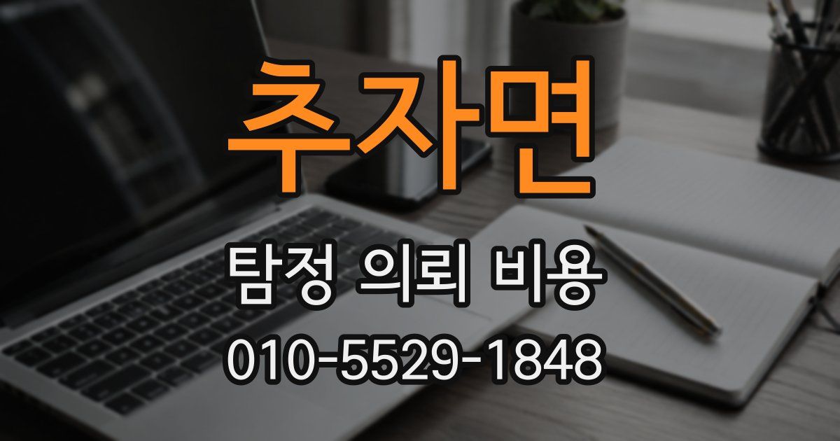 추자면 탐정 의뢰 비용