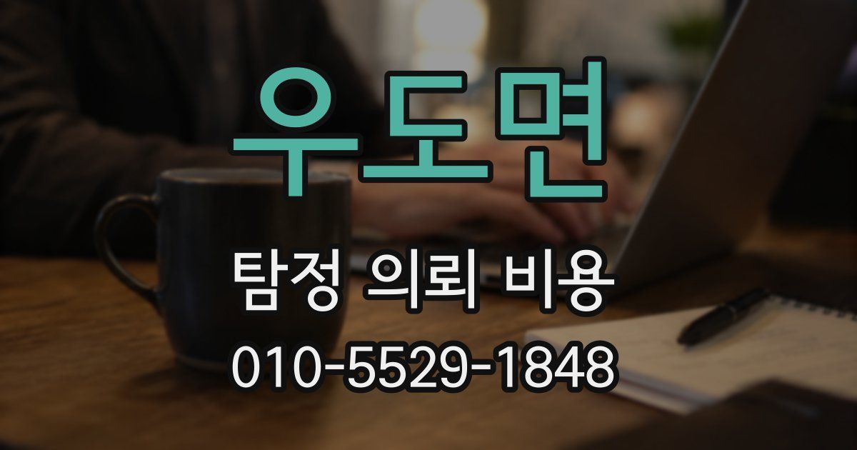 우도면 탐정 의뢰 비용