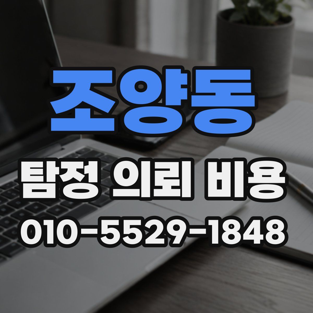 조양동 탐정 의뢰 비용