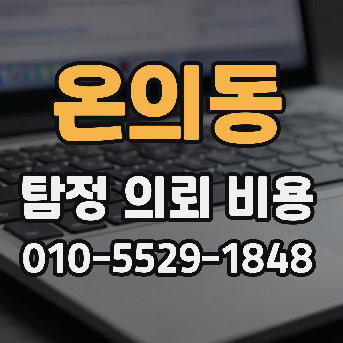 온의동 탐정 의뢰 비용