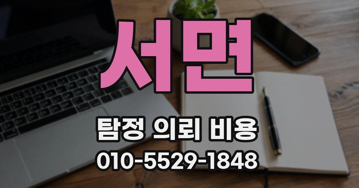 서면 탐정 의뢰 비용