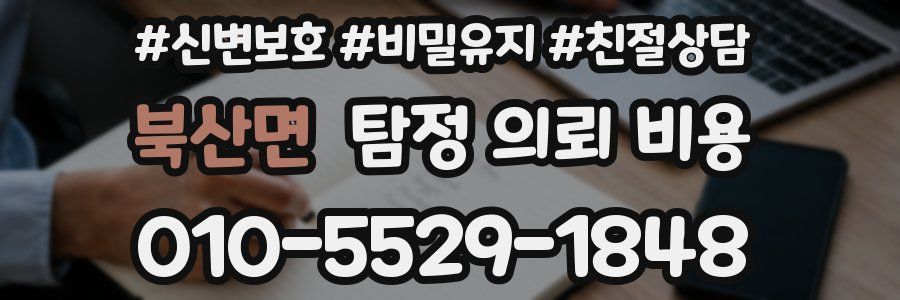 북산면 탐정 의뢰 비용
