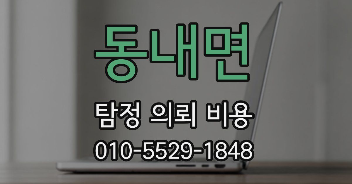 동내면 탐정 의뢰 비용